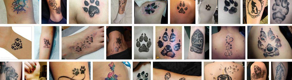 Símbolos dos animais na tatuaxe