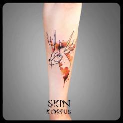 Skin Korpus