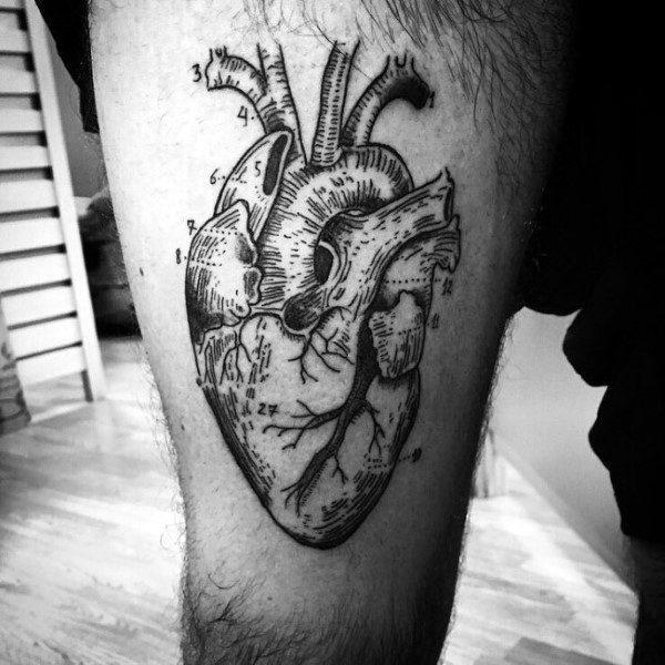 реалистичное тату анатомическое сердце 131