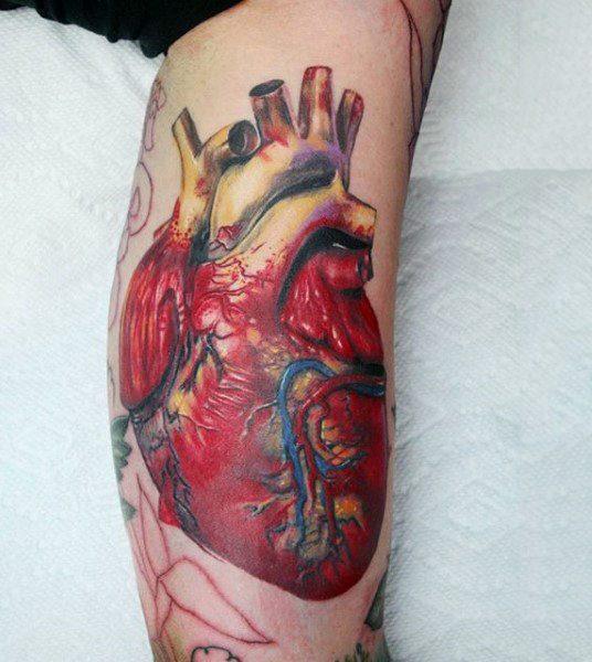 реалистичное тату анатомическое сердце 185
