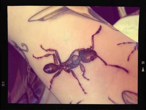 татуировка муравей 06