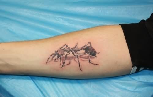 татуировка муравей 102