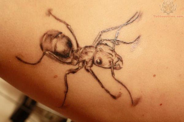 татуировка муравей 108