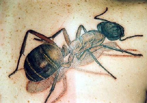 татуировка муравей 160