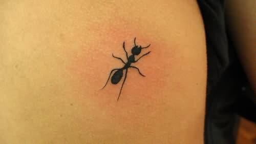 татуировка муравьи 162