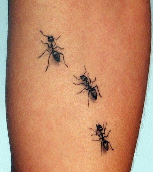татуировка муравей 190