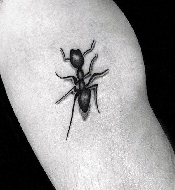 татуировка муравей 194