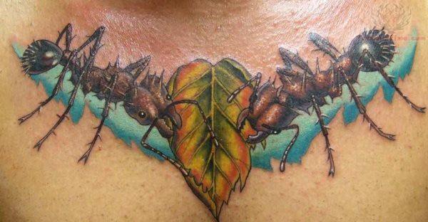 татуировка муравьи 38