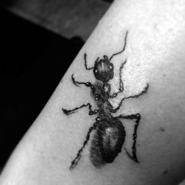 татуировка муравей 54