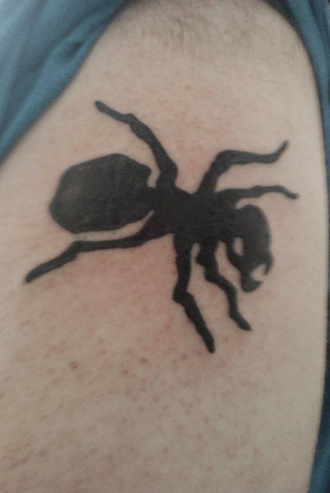татуировка муравьи 80