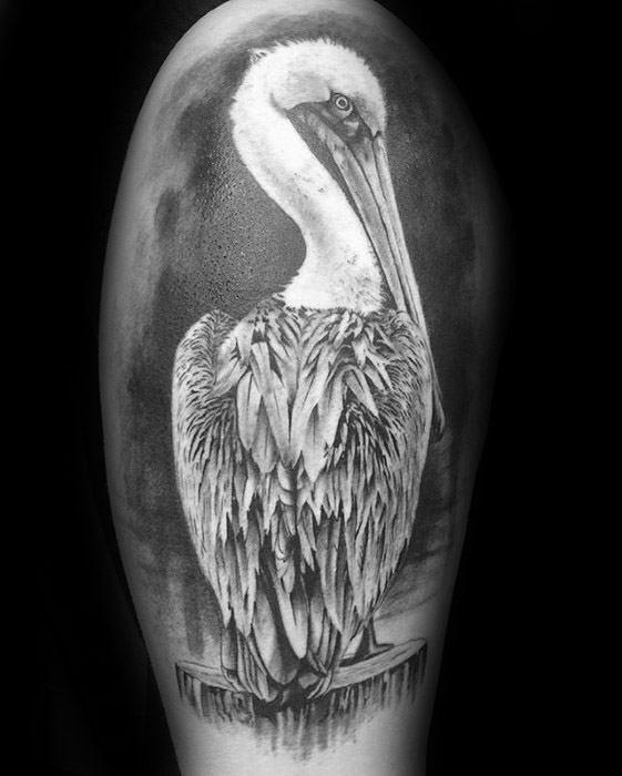 15 Tattoo ideas of pelican