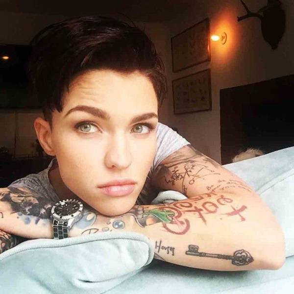 Best Ruby Rose Images On Pinterest Rose Roses And Ruby Rose