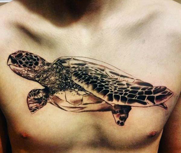 turtle tattoo 102.