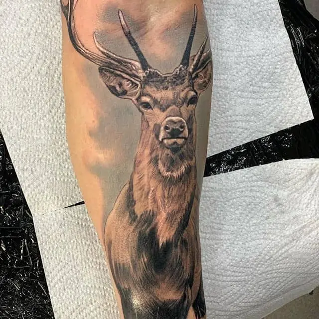 Deer, deer and elk tattoo: photo and meaning