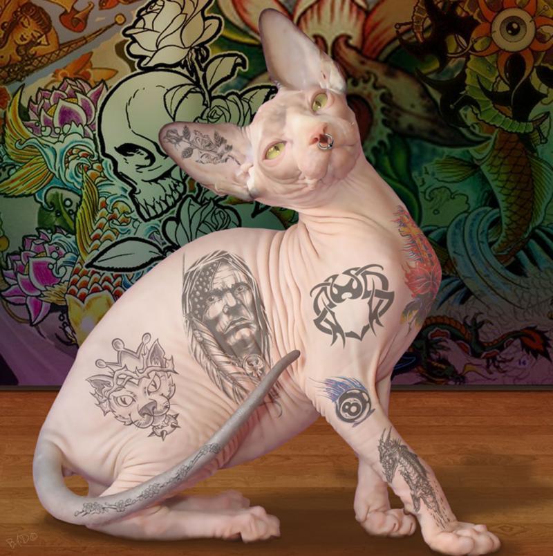 Татуировки животных: ужасное насилие или искусство?