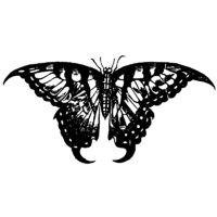 Бабочки, как символ смерти