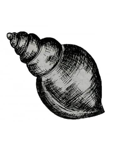 Unsa ang kahulogan sa water snail sa Africa? Encyclopedia sa mga simbolo