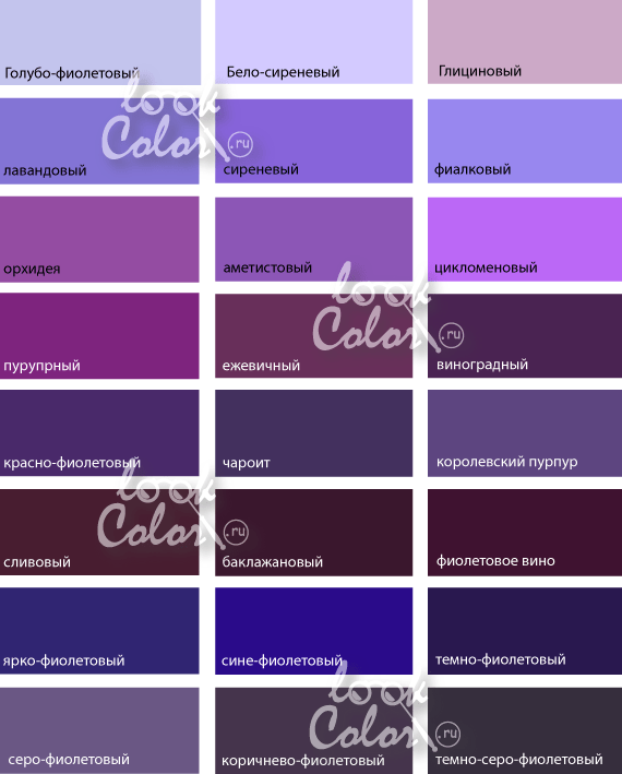 Color violeta