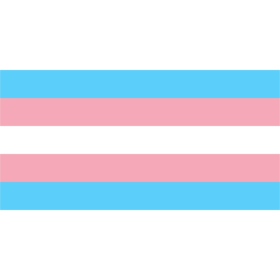 transseksüel bayrağı