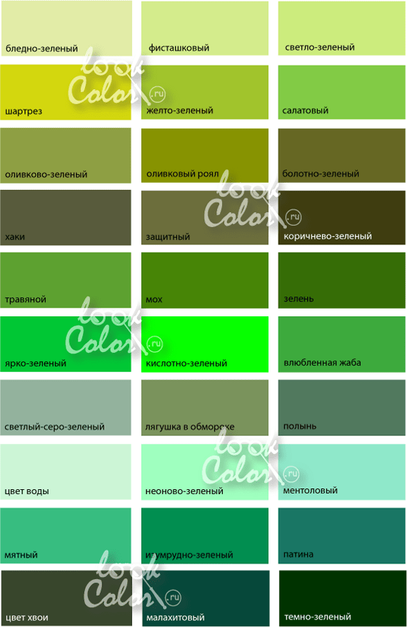 Color Zeleny