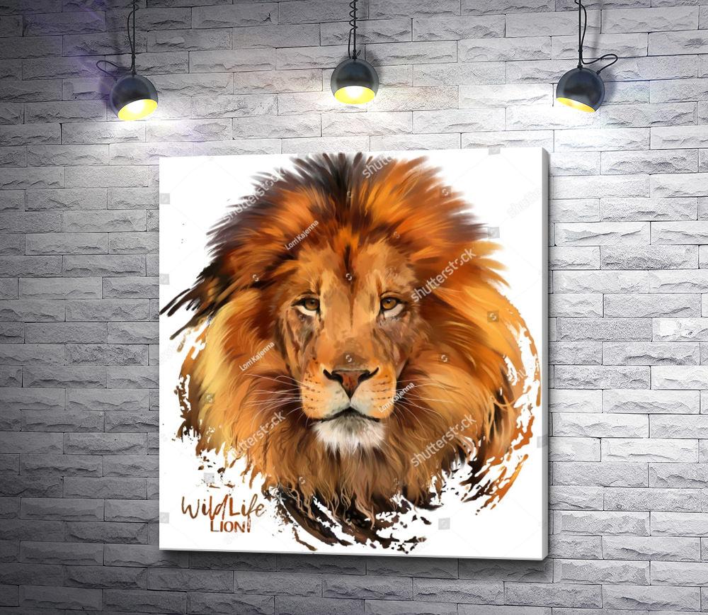 Liūtas: žvėrių karalius, drąsos simbolis 🦁