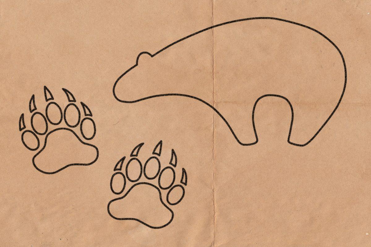 Bear and Bear Footprints