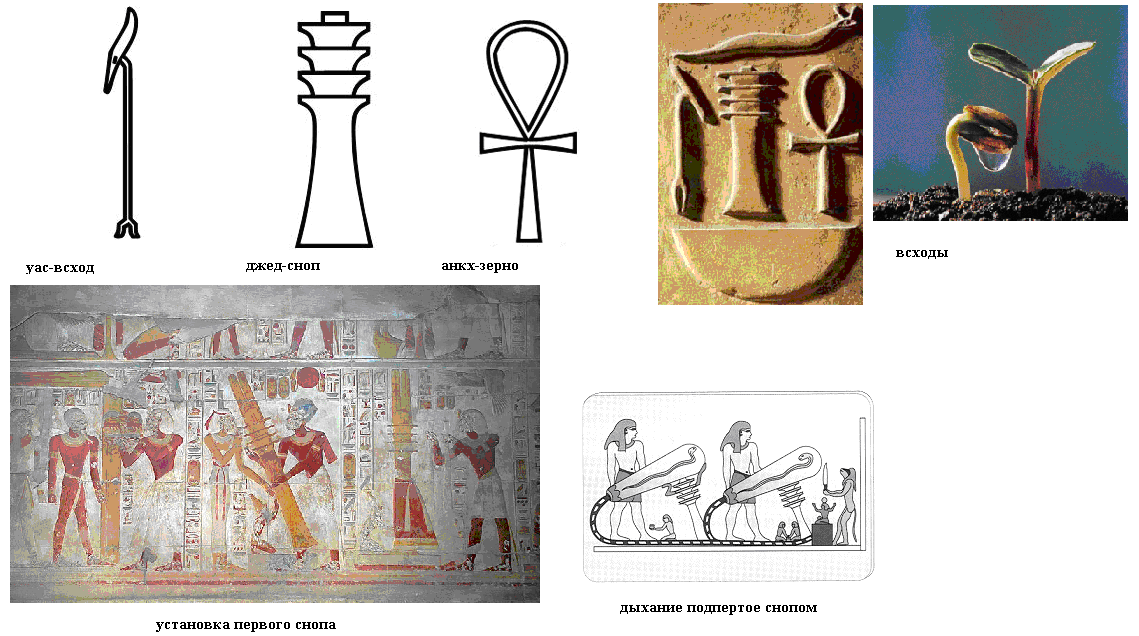 Жедийн багана: Египетийн соёлын тогтвортой байдал, хүч чадал