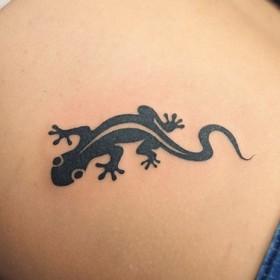 Tattoo ya Salamander: maana na mifumo