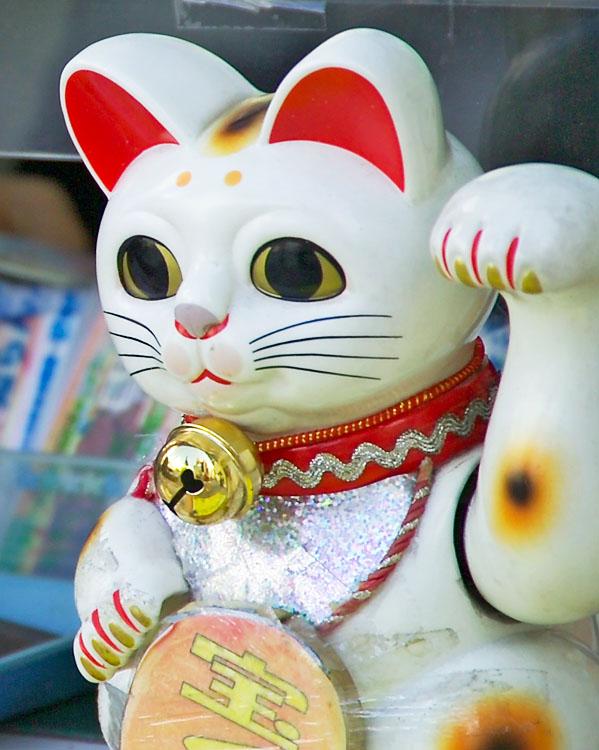 Japanese cat