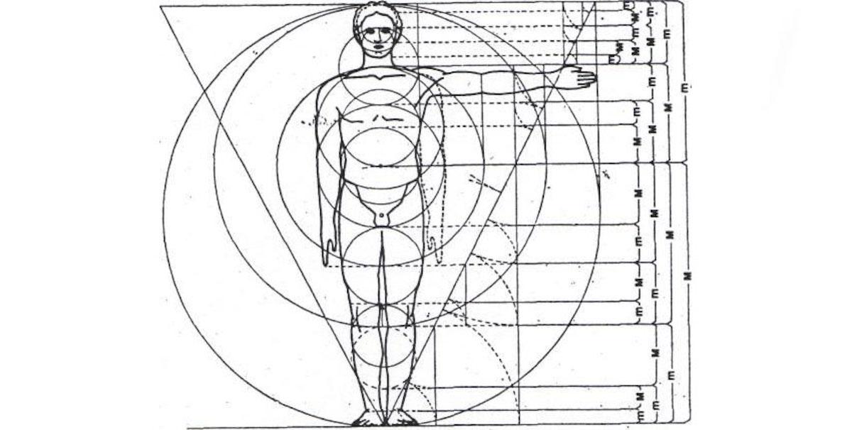 Человек мера всех вещей. Золотое сечение Фибоначчи человека. Спираль Фибоначчи в теле человека. Пропорции тела человека золотое сечение. Пропорции Фибоначчи в теле человека.