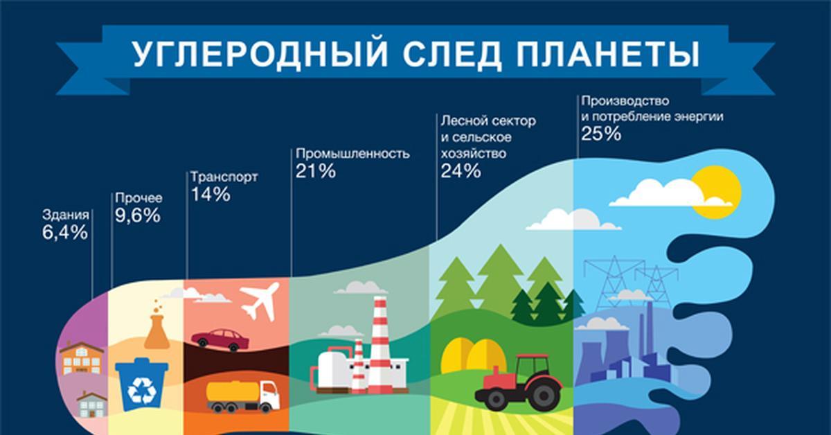 Мой экологический след проект