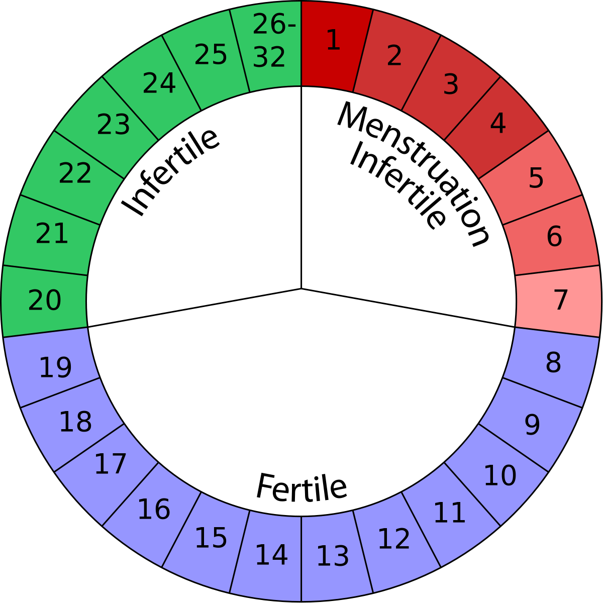 Что такое окно фертильности в календаре