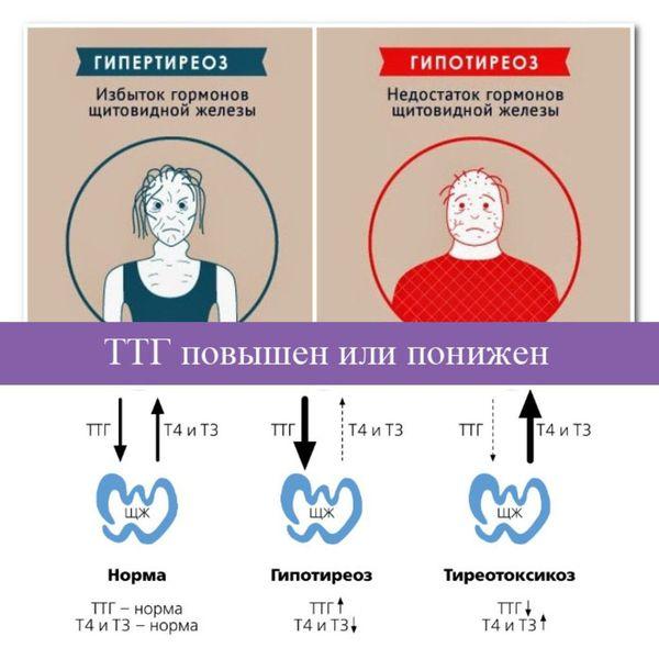 Женское либидо фото