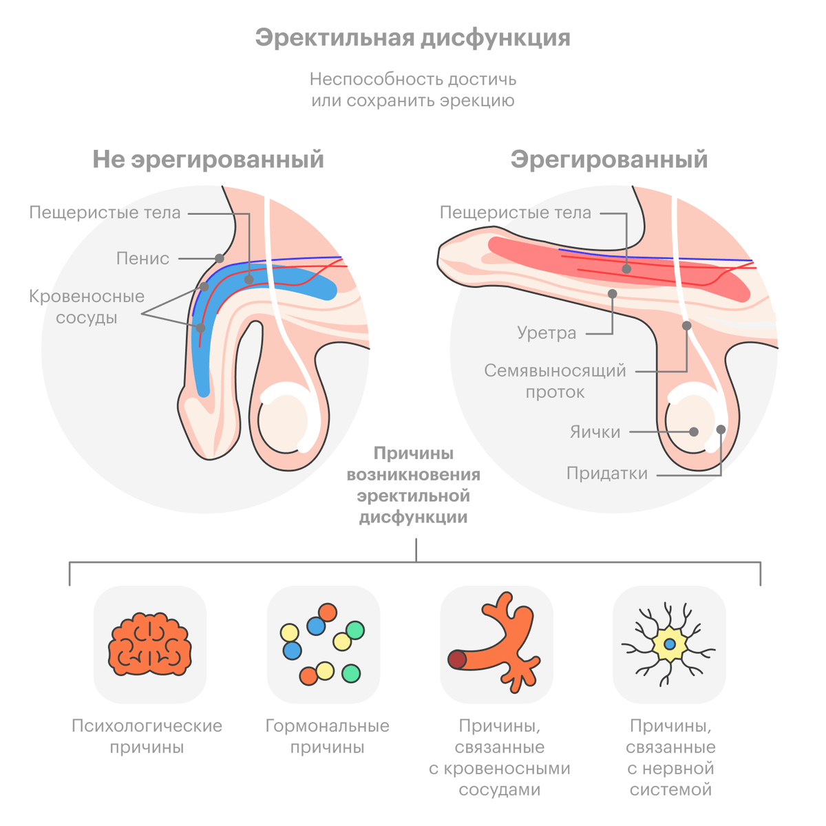 проблемы с не возбуждением члена фото 7