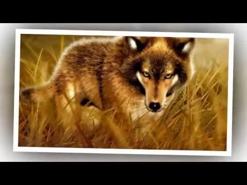 Sound Of The Wolves – музыка и звуки природы для релаксации