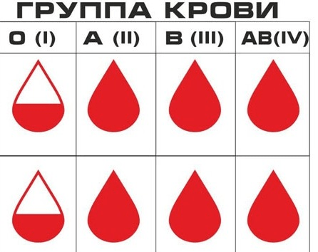 Descubre qué dice tu tipo de sangre sobre tu personalidad