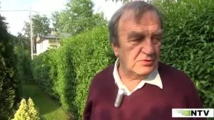 Воспоминания о Войцехе Сергеле
