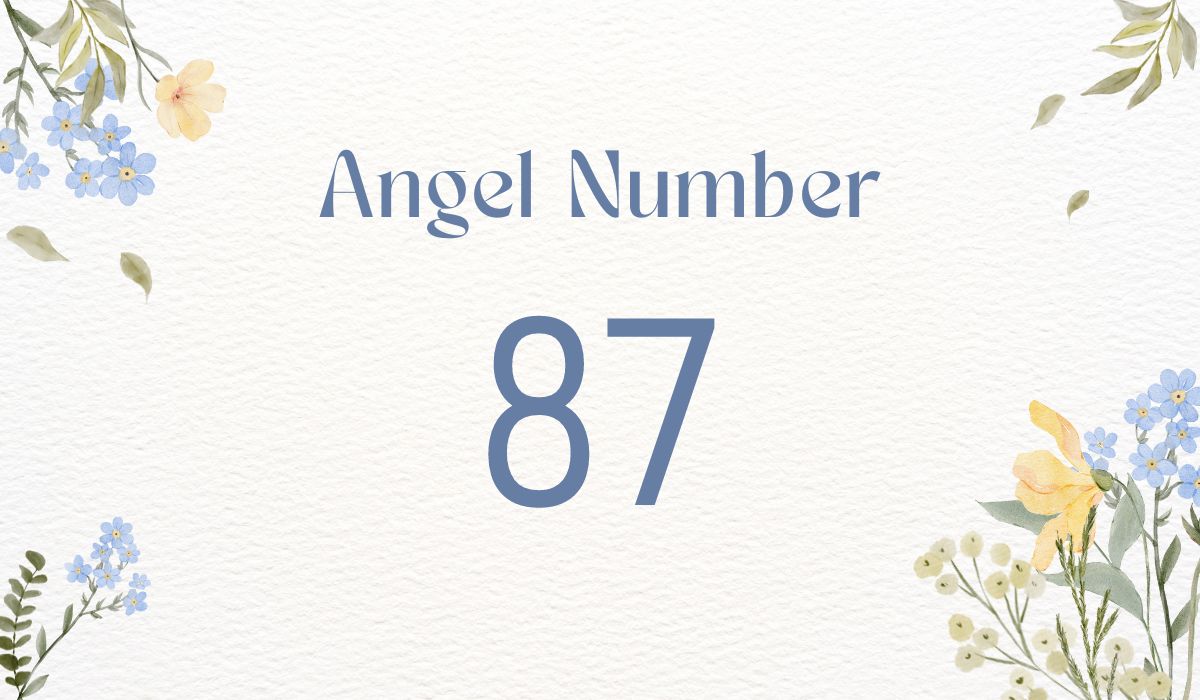 Ангельское число 87 &#8212; Ангельская нумерология. Смысл скрыт в числе 87.