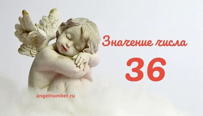 Ангельское число 36 &#8212; Что означает число 36 в ангельской нумерологии?