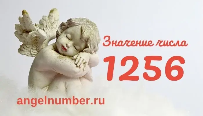 Ангельское число 56. Часто ли вы видите число 56? Что это означает в ангельской нумерологии?