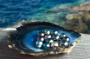 Cерьги с морским жемчугом