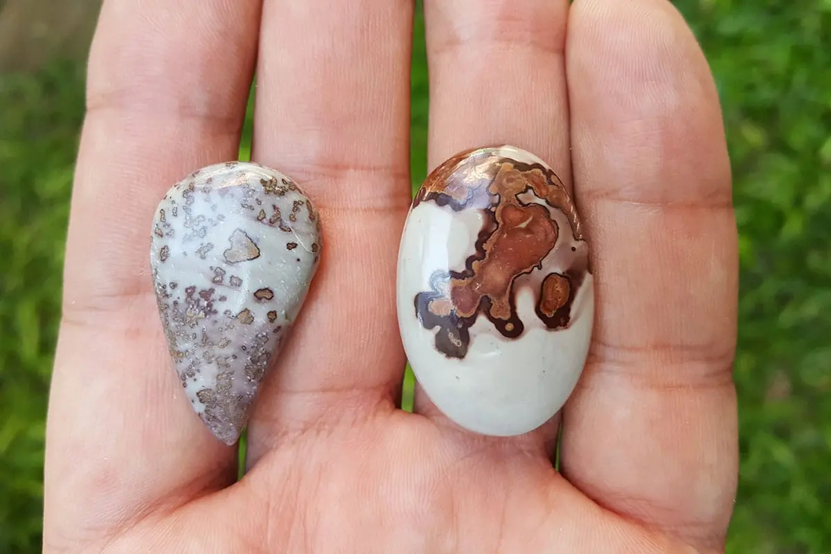 Coffee Bean Jasper