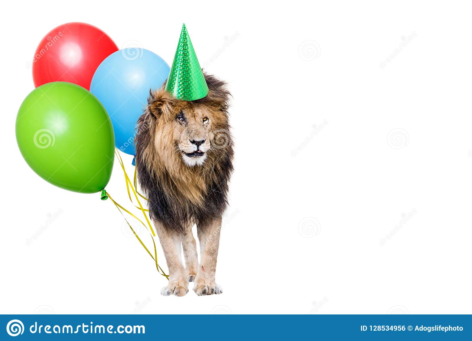 день рождения у льва