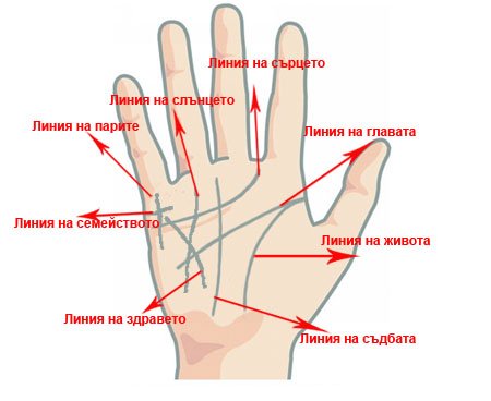 Хиромантия, или хиромантия