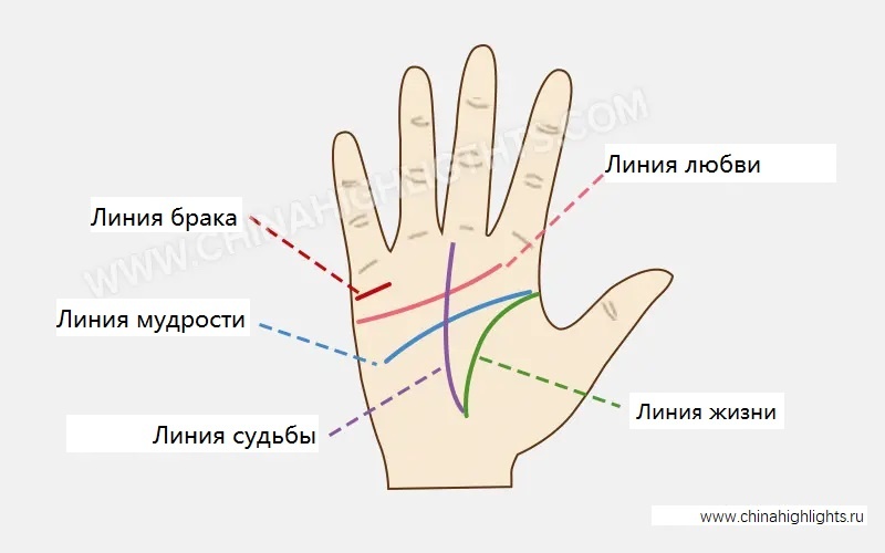 Handlesen - wie man die Zeichen an den Händen liest
