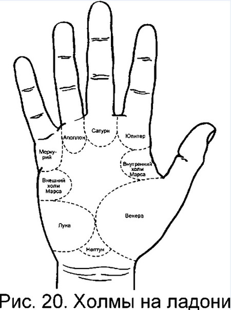 Холмы на ладони &#8212; что они означают?