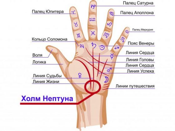 Холмы Нептуна &#8212; чтение по руке