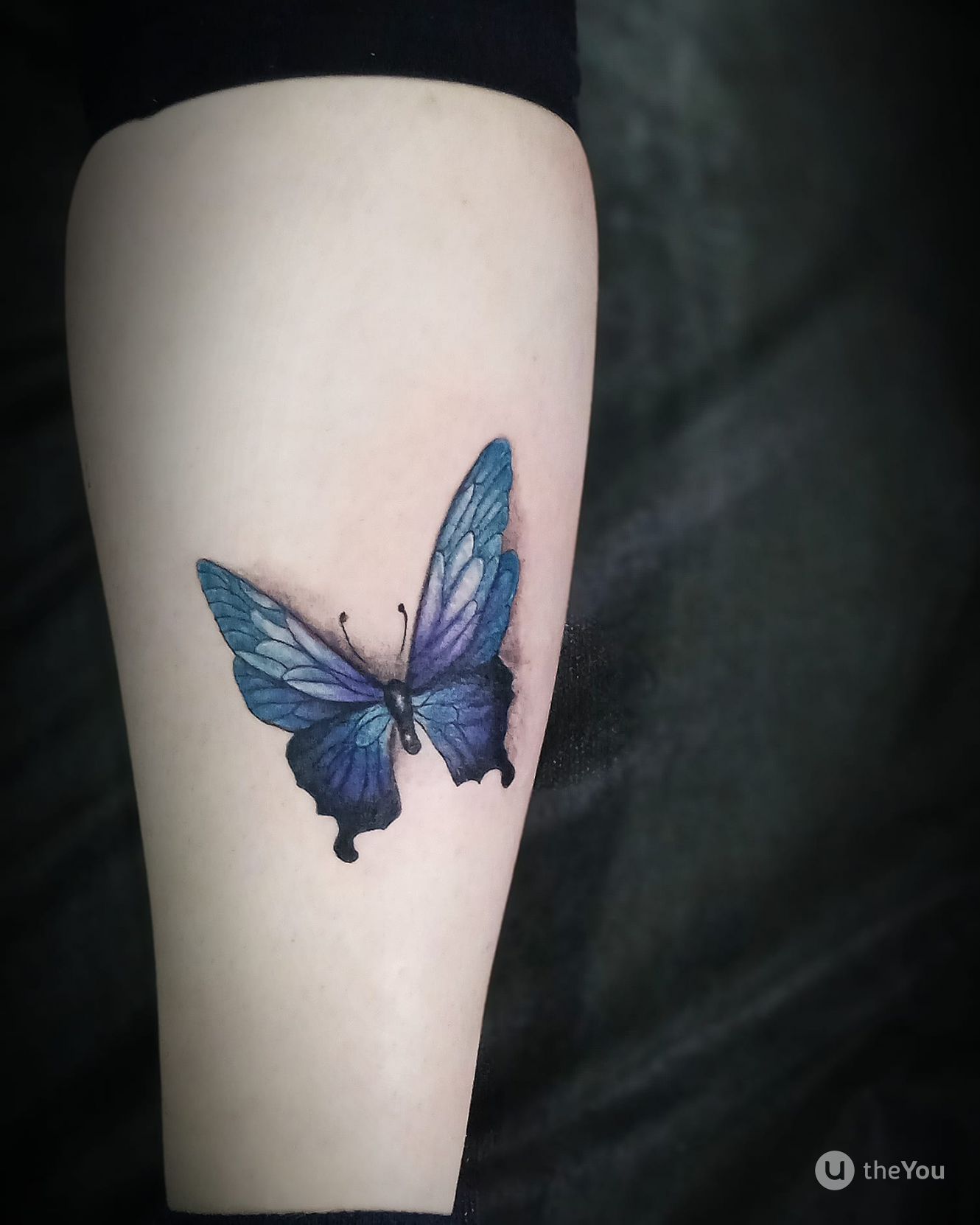 Butterfly Image Ideas for Women - Arm or Thigh Tattoo