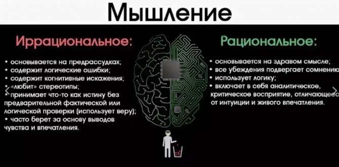 Интуиция или рациональное мышление