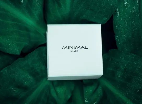 Как хранить серебряные украшения и ухаживать за ними? &#8212; Minimal